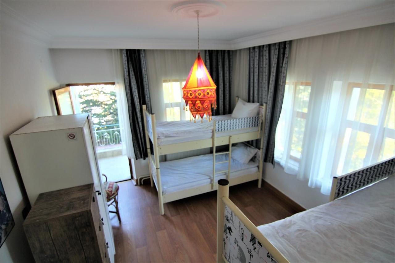 Bunk Bed in Mixed Dormitory Room